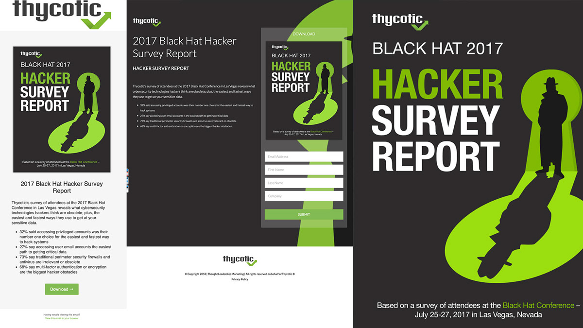 Thycotic: 2017 Black Hat Hacker Survey Report
